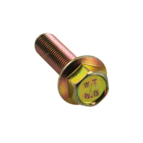 CHAMPION - M8 X 20 HEX FLANGE BOLTS 